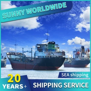 20 Jahre professionelle Tür zu Tür Versand/Logistik von China nach Südafrika