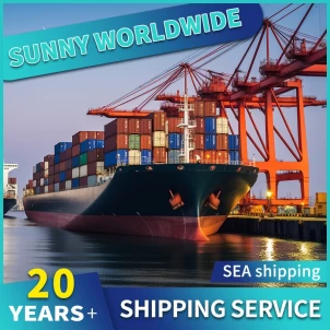 swwls Envío marítimo Agente de carga marítima Envío de Logística de Amazon desde China Shenzhen a EE. UU.