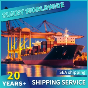 Swwls-Spediteur von China nach Brasilien, Tür-zu-Tür-Luftversand, Ddp-Ddu-Lager in Shenzhen
