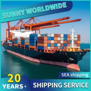 SWWLS DDP Sea Fracht von Shenzhen bis Deutschland LCL FCL Container Logistikdienste
