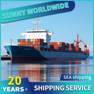 Servicio de carga marítima de agente marítimo internacional desde China a Sudáfrica