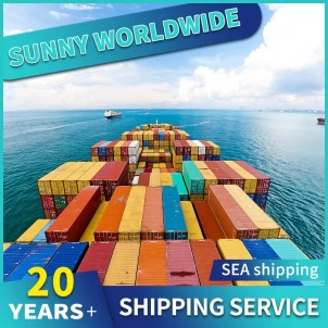 Swwls transporte marítimo desde China a Polonia LCL Logistics Services empresa puerta a puerta