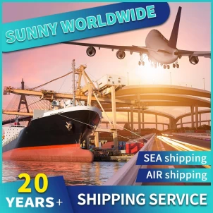 Swwls Air Freight Cargo Agent Forwarder Luftversand in die Niederlande vom Shenzhen Shipping Agent