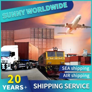 Swwls Seefrachtspediteur, Versand von China in die USA, DDP-Service von Tür zu Tür