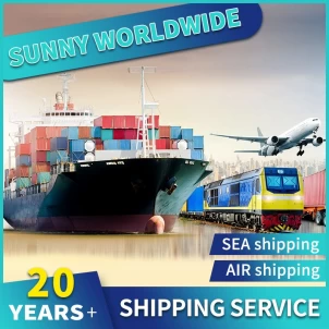 Swwls Seefrachtspediteur, der von China in die USA versendet, Seetransport aus China, FCL-Container