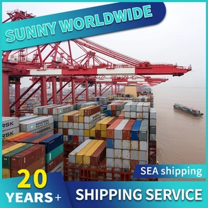 Swwls  professional door to door service in shenzhen SEA freight forward  from China to South Africa