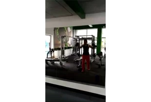 Aptitud de XYS--51 (entrenamiento del brazo)