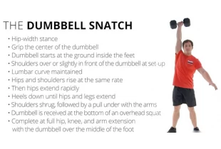 XYS FITNESS - 85 (DUMBBELL EJERCICIO - 10 VIDEO)