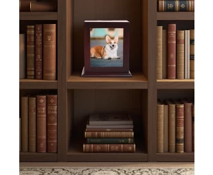 Wholesale Wood Pet Urn with Photo Frame, Pets Ashes Box Memorial Box for Animal Ashes