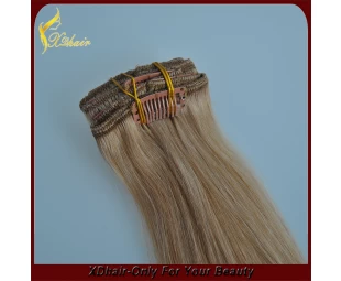 100% Virgin Remy Hair Straight Factory Prijs Clip In Human Hair Extensions