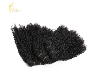 2016 Whosale 100% Human hair high quality brazilian virgin afro kinky curly human hair wig for black women