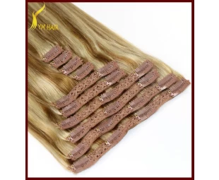 20inch 180g highlight coloured brazilian human remy clip on hair extension