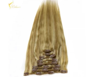 Alibaba China Free Shipping cheap 100% human hair clip in hair extension