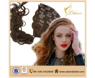 Clip in Hair Extensions 100% Human Hair High Quality Cheap Price Wholesale Alibaba Trade Assurance 220g