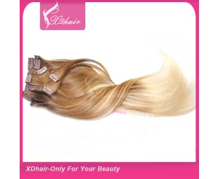 Clip in Hair Extensions 100% Human Hair High Quality Cheap Price Wholesale Alibaba Trade Assurance Ombre Color