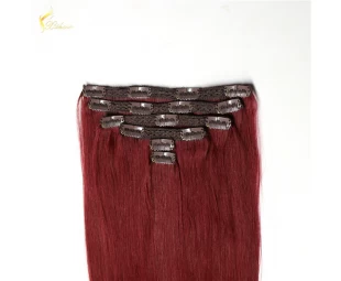 Clip in Human Hair Extensions 99j Remy Brazilian Clip in Hair Extensions For Black Women