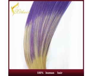 Dip colorant pince à cheveux dans postiche ses deux tons en extension de cheveux remy de haute qualité