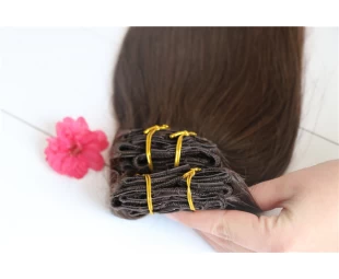 Double drawn Clip in human hair extensions 220g 10pcs with 22clips full head clip in remy hair extension