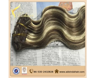 Hot Sale Clip In Hair Extension 10-30inch Free Sample