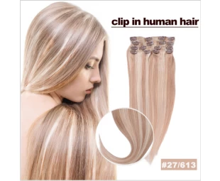 Hot Sale Factory Cheap Price High Quality 100% Human Remy One Piece Clip In Human Hair Extensions