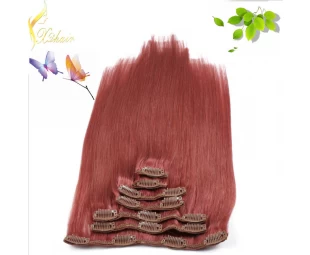 Hot sale Human Hair Product Aliexpress Women Clip In Hair piece