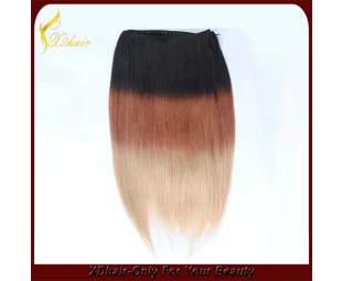 Weave más de moda del pelo de la Virgen Ombre color trama del pelo humano