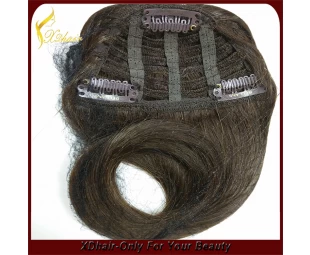 New style hot selling high quality 100% unprocessed Brazilian virgin remy hair clip in bangs hair extension