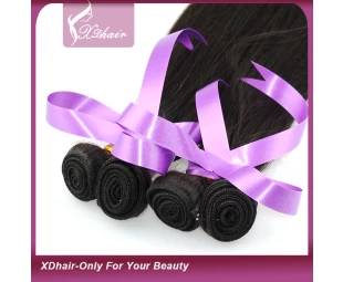 No Blend 100% Human Hair Hair Extension Double Weft Hair Weave Fast Deliver