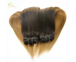 Top quality 100% brazilian remy hair two tone braiding hair weft
