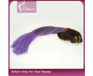 Onverwerkte 5A Grade maagd Braziliaanse menselijk haar, twee tone Ombre kleur Wholesale Braziliaanse menselijk clip in hair extensions