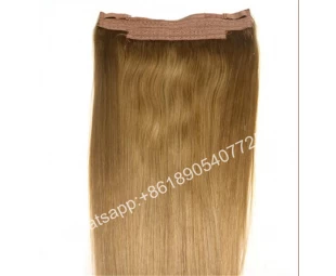 Wholesale 150g Human hair 4 Layer Lace Weft Halo Hair Extensions