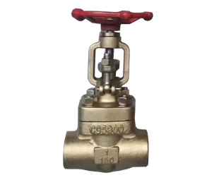 1'' 150LB Nickel-Aluminum Bronze C95800 SW gate valve