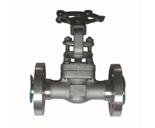 1/2'' 600LB inconel 825 hand wheel RF gate valve