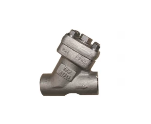 1/2'' 800LB ASTM A182-F316 socket weld connection Y type strainer