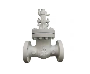 3inch 600LB WCB RF flange manual gate valve