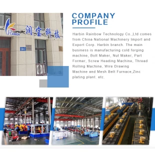 Acceptable customization nuts making machine low freight cold forging machine with steel