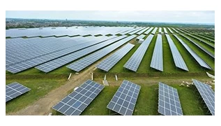 Solar power combined with agricultural activities