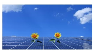 Jilin Baicheng lance l'application «photovoltaic +»