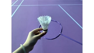 China Fixed badminton timeevery Thursday,Sunny Worldwide Logistics freight forwarder