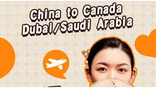 الصين DDU DDP الشحن من الصين إلى كندا ودبي والمملكة العربية السعودية توجيه الشحن