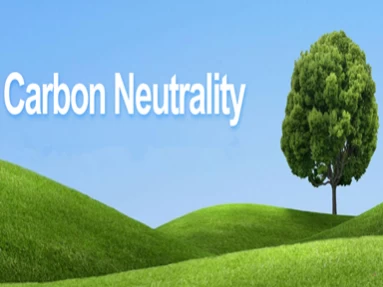 Sous la tendance de la « neutralité carbone », où ira l'industrie chimique énergivore ?