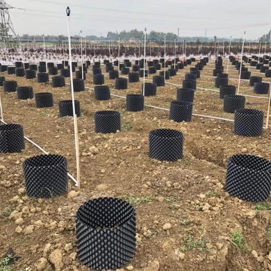 Cheap Custom Diameter Black PVC Plastic Plants Trees Air Root Pruning Pots For Sale