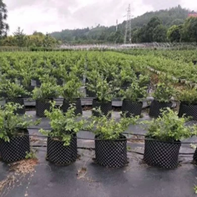 Pots d'élagage de racine d'air d'arbres de plantes en plastique de PVC noir de diamètre fait sur commande bon marché à vendre