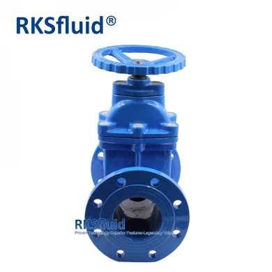 with CE WRAS Made in China Water Gate Valve DN80 DN100 Ductile Cast Iron Soft Seal Flange Gate Valve PN16
