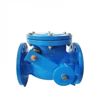 BS5153 ductile cast iron swing check valve customizable