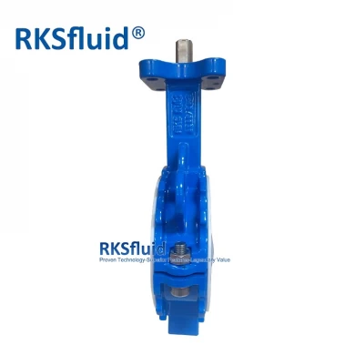 RKSfluid DN80 球墨铸铁对夹蝶阀 衬四氟 4寸 PN10 PN16