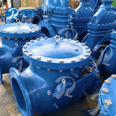중국 밸브 공급 업체 BS5153 F6 웨이퍼 스윙 체크 밸브 물 및 폐수 용 DN300 PN10 PN16