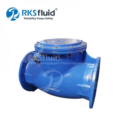 Factory direct ductile iron flange swing check valve PN16 supplier customizable