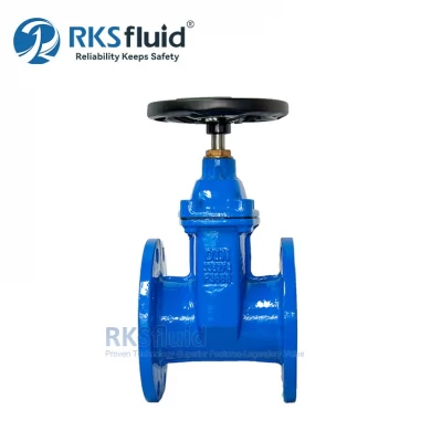 DIN F4 Ductile Iron DN80 DN100 Resilient Seated Flange Gate Valve PN16 for Water