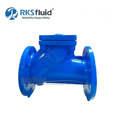Customization High Quality ANSI DIN BS Standard Ductile Iron Ball Check Valve Flange Threaded PN10 PN16